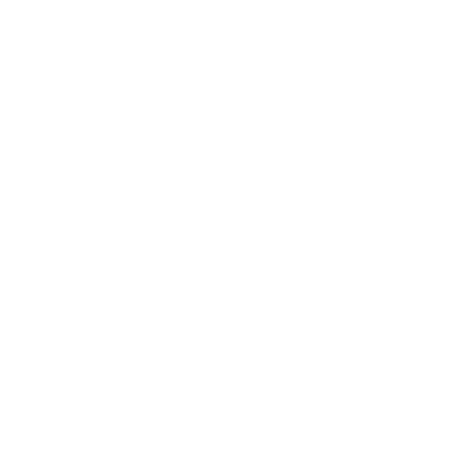 Mr. Sniffer - Bettwanzenspürhund | chien de recherche de punaises  de lit